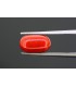 5.04 cts Natural Coral (Moonga)