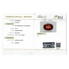 IIGJ Research & Laboratories | GJEPC Report for 10.01 cts Natural Hessonite Garnet (Gomedh)