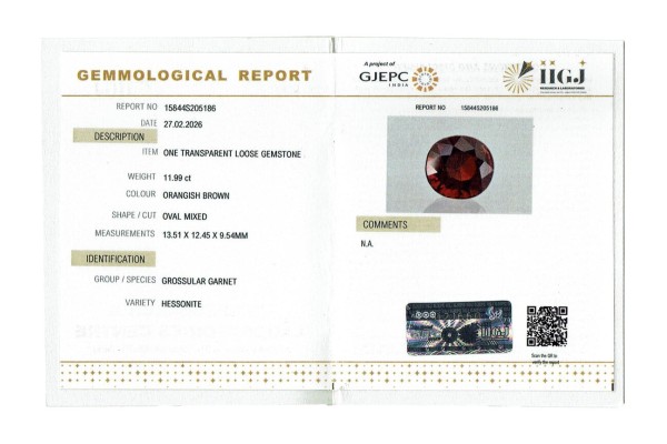 IIGJ Research & Laboratories | GJEPC Report for 11.99 cts Natural Hessonite Garnet (Gomedh)