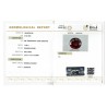 IIGJ Research & Laboratories | GJEPC Report for 11.99 cts Natural Hessonite Garnet (Gomedh)