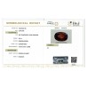IIGJ Research & Laboratories | GJEPC Report for 8.61 cts Natural Hessonite Garnet (Gomedh)