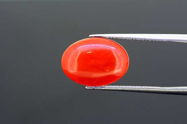 3.63 cts Natural Coral (Moonga)