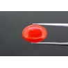 3.63 cts Natural Coral (Moonga)