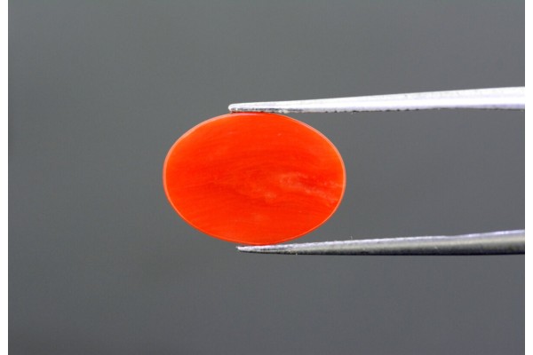 3.63 cts Natural Coral (Moonga)