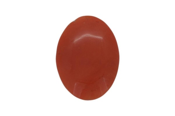 3.64 cts Natural Coral (Moonga)