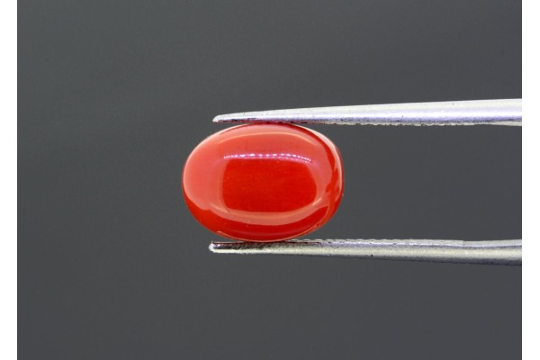 4.84 cts Natural Coral (Moonga)