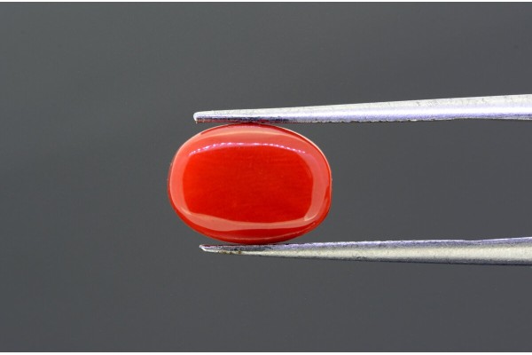 4.84 cts Natural Coral (Moonga)