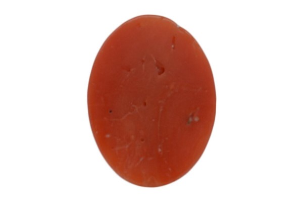 3.64 cts Natural Coral (Moonga)