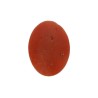 3.64 cts Natural Coral (Moonga)
