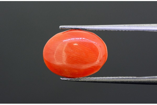 4.22 cts Natural Coral (Moonga)