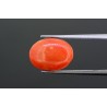 4.22 cts Natural Coral (Moonga)