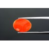 4.22 cts Natural Coral (Moonga)