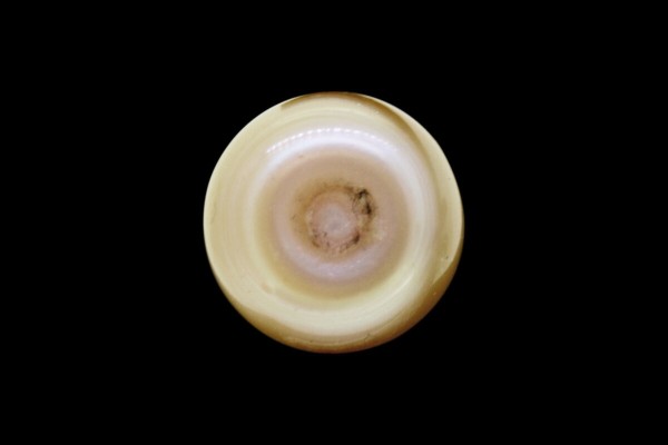 3.01 cts Natural Pearl (Moti)
