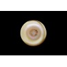 3.01 cts Natural Pearl (Moti)