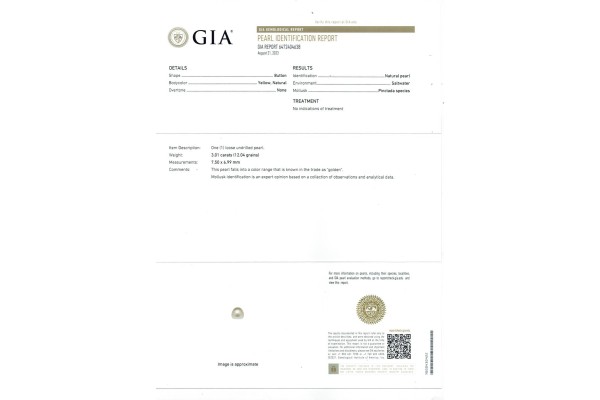 Gemological Institute of America Report for 3.01 cts Natural Pearl (Moti)