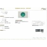 IIGJ Research & Laboratories | GJEPC Report for 4.92 cts Natural Emerald (Panna)