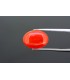 3.63 cts Natural Coral (Moonga)