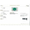 IIGJ Research & Laboratories | GJEPC Report for 5.72 cts Natural Emerald (Panna)
