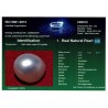 HIRCO Enterprises Pvt Ltd Report for 2.96 cts Natural Pearl (Moti)