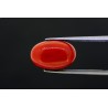 5.94 cts Natural Coral (Moonga)