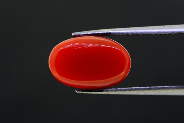 5.94 cts Natural Coral (Moonga)