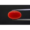 5.94 cts Natural Coral (Moonga)