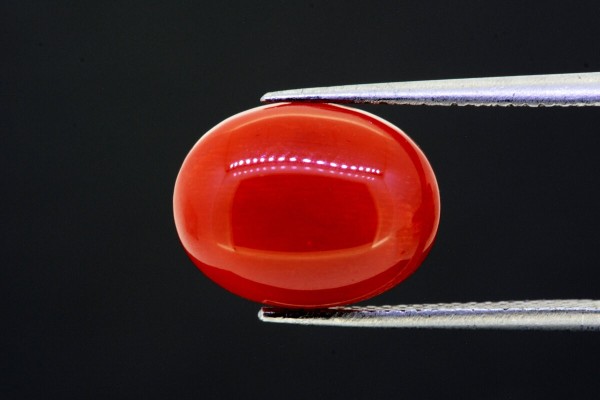 5.38 cts Natural Coral (Moonga)