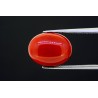 5.38 cts Natural Coral (Moonga)