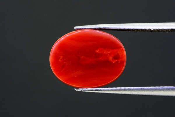 5.38 cts Natural Coral (Moonga)