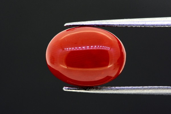 5.24 cts Natural Coral (Moonga)