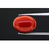 5.24 cts Natural Coral (Moonga)