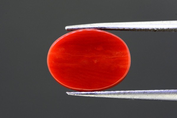 5.24 cts Natural Coral (Moonga)