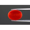 5.24 cts Natural Coral (Moonga)