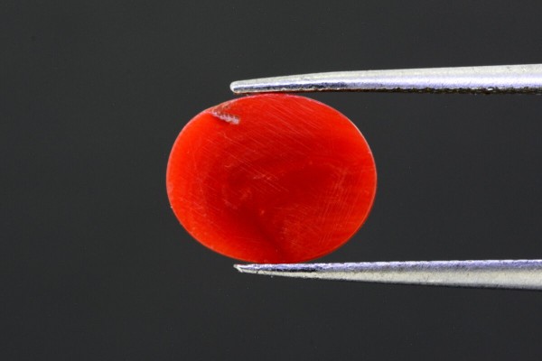 3.48 cts Natural Coral (Moonga)