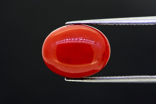 6.7 cts Natural Coral (Moonga)
