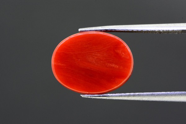 6.7 cts Natural Coral (Moonga)
