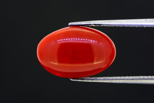 4.17 cts Natural Coral (Moonga)