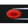 4.17 cts Natural Coral (Moonga)