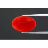 4.17 cts Natural Coral (Moonga)