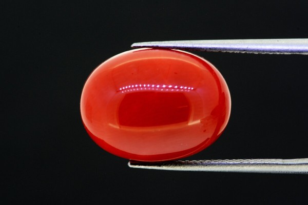 12.73 cts Natural Coral (Moonga)