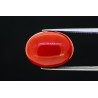 12.73 cts Natural Coral (Moonga)