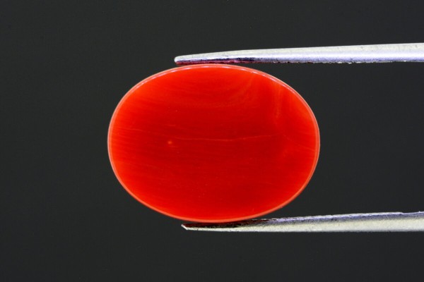 12.73 cts Natural Coral (Moonga)