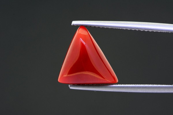 4.43 cts Natural Coral (Moonga)
