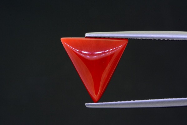 4.79 cts Natural Coral (Moonga)