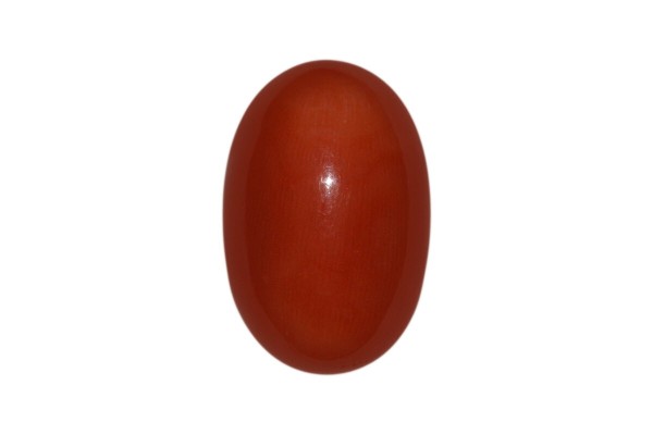 36.77 cts Natural Coral (Moonga)