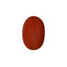 36.77 cts Natural Coral (Moonga)