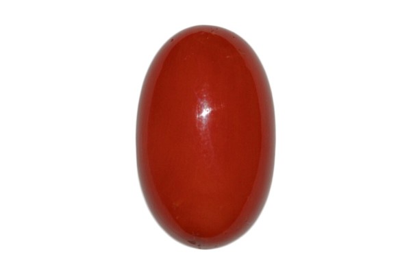 23.82 cts Natural Coral (Moonga)
