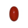 23.82 cts Natural Coral (Moonga)