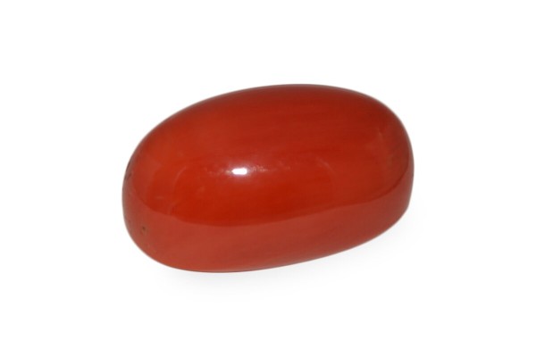 23.82 cts Natural Coral (Moonga)