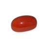 23.82 cts Natural Coral (Moonga)